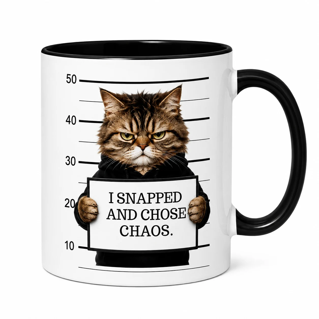 Crazy cat Mug